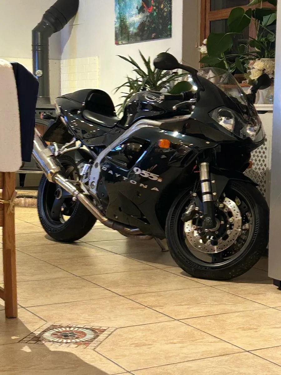 2003  triumph 955i centennial edition - Image 3