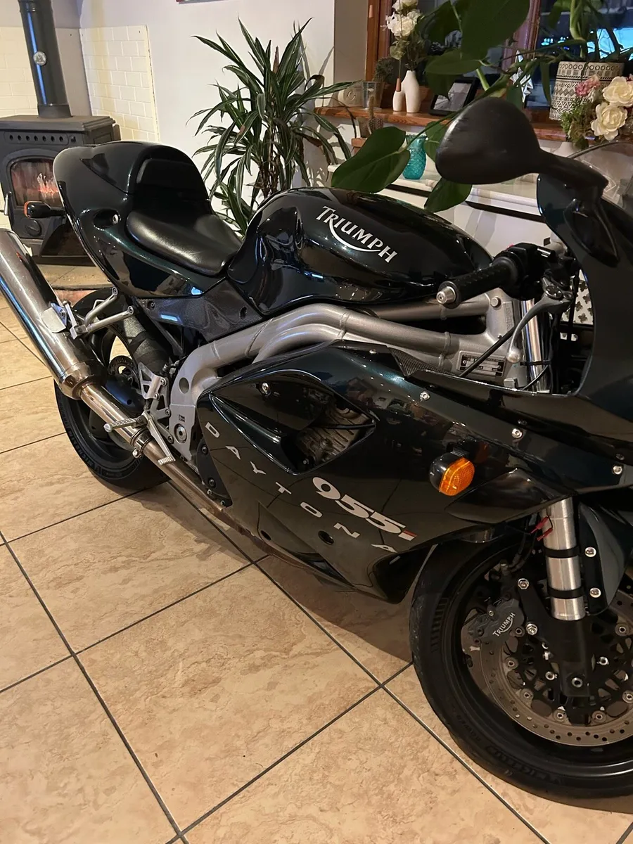 2003  triumph 955i centennial edition - Image 4