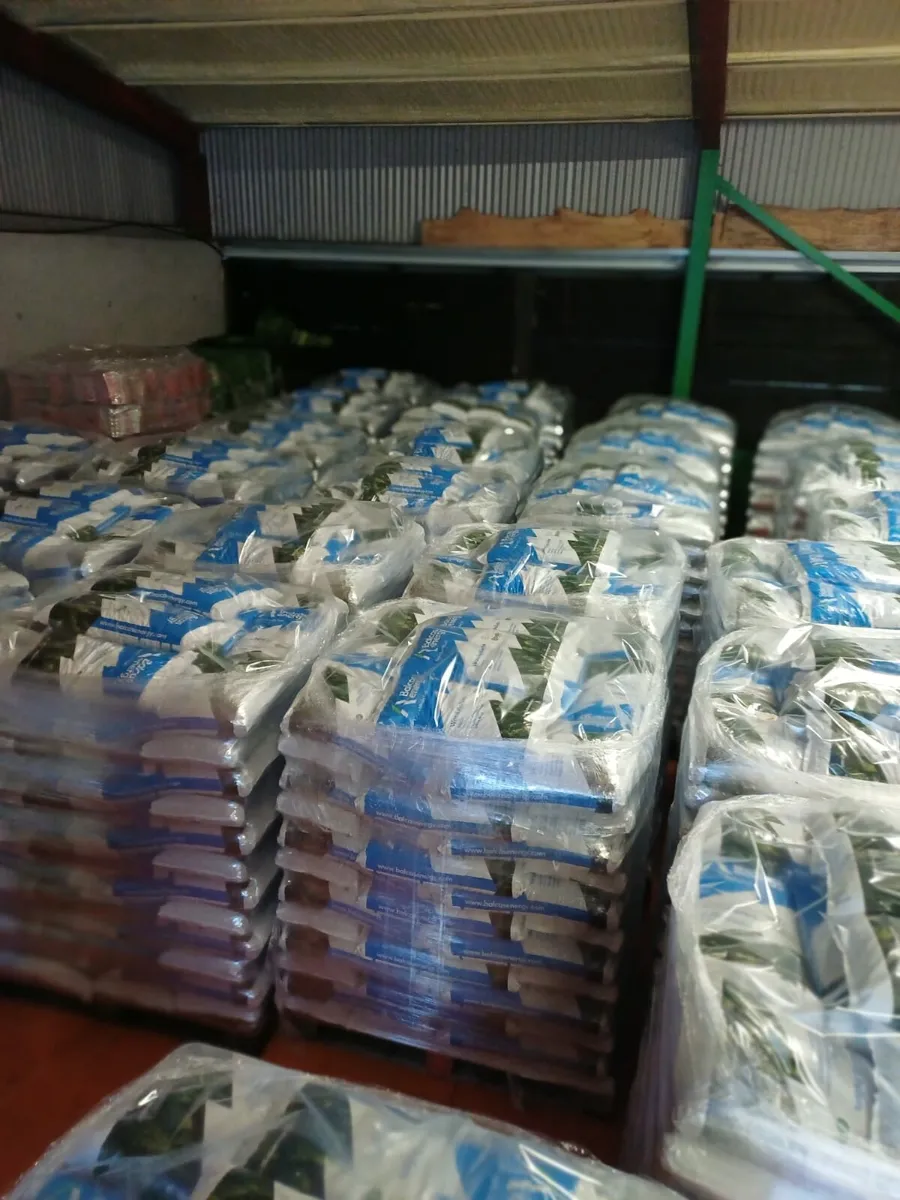 PALLETS OF BALCAS 10KG WOOD PELLETS - Image 2