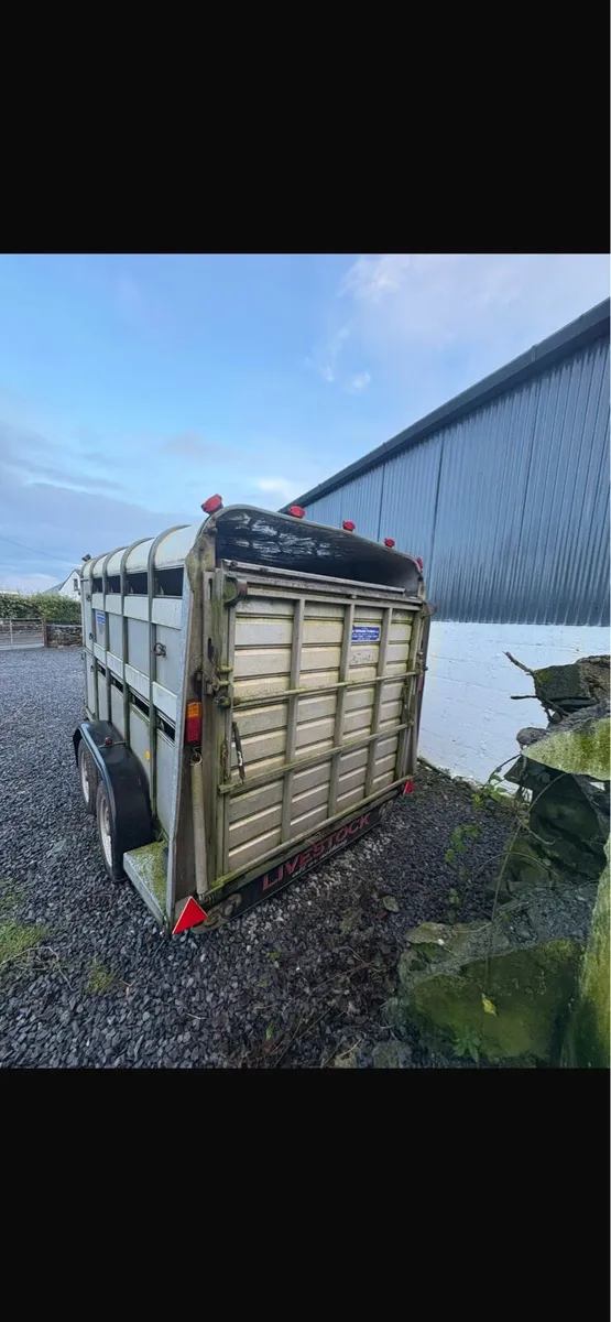 Ivor Williams livestock trailer - Image 4