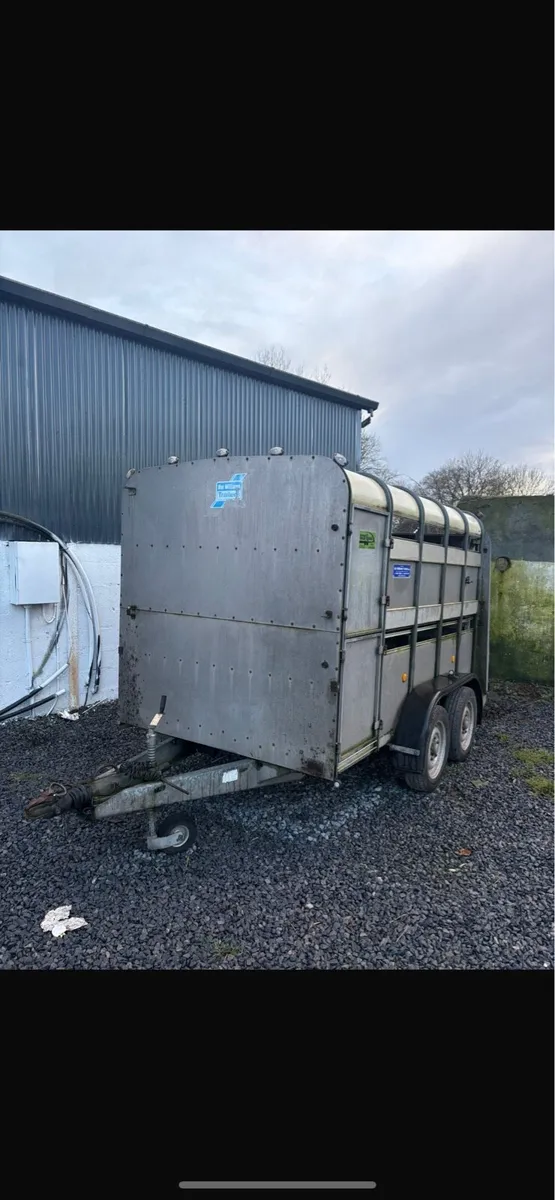 Ivor Williams livestock trailer - Image 2