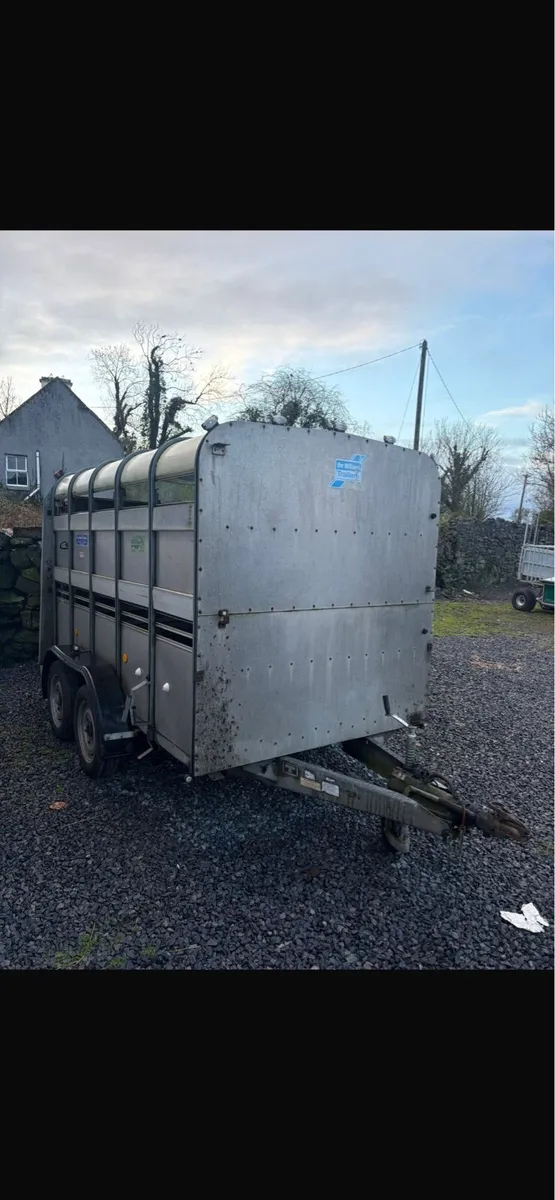 Ivor Williams livestock trailer - Image 3