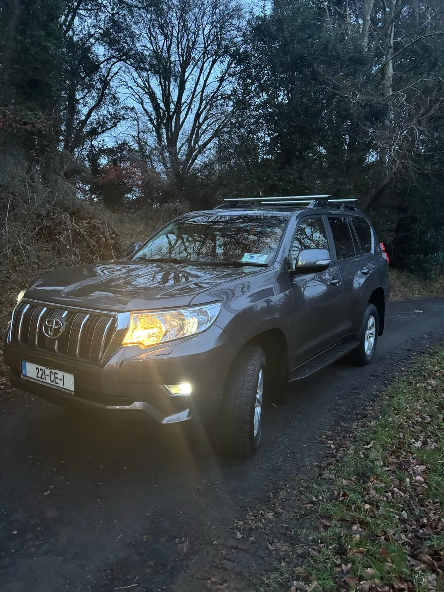 Toyota Land Cruiser Auto - Image 2