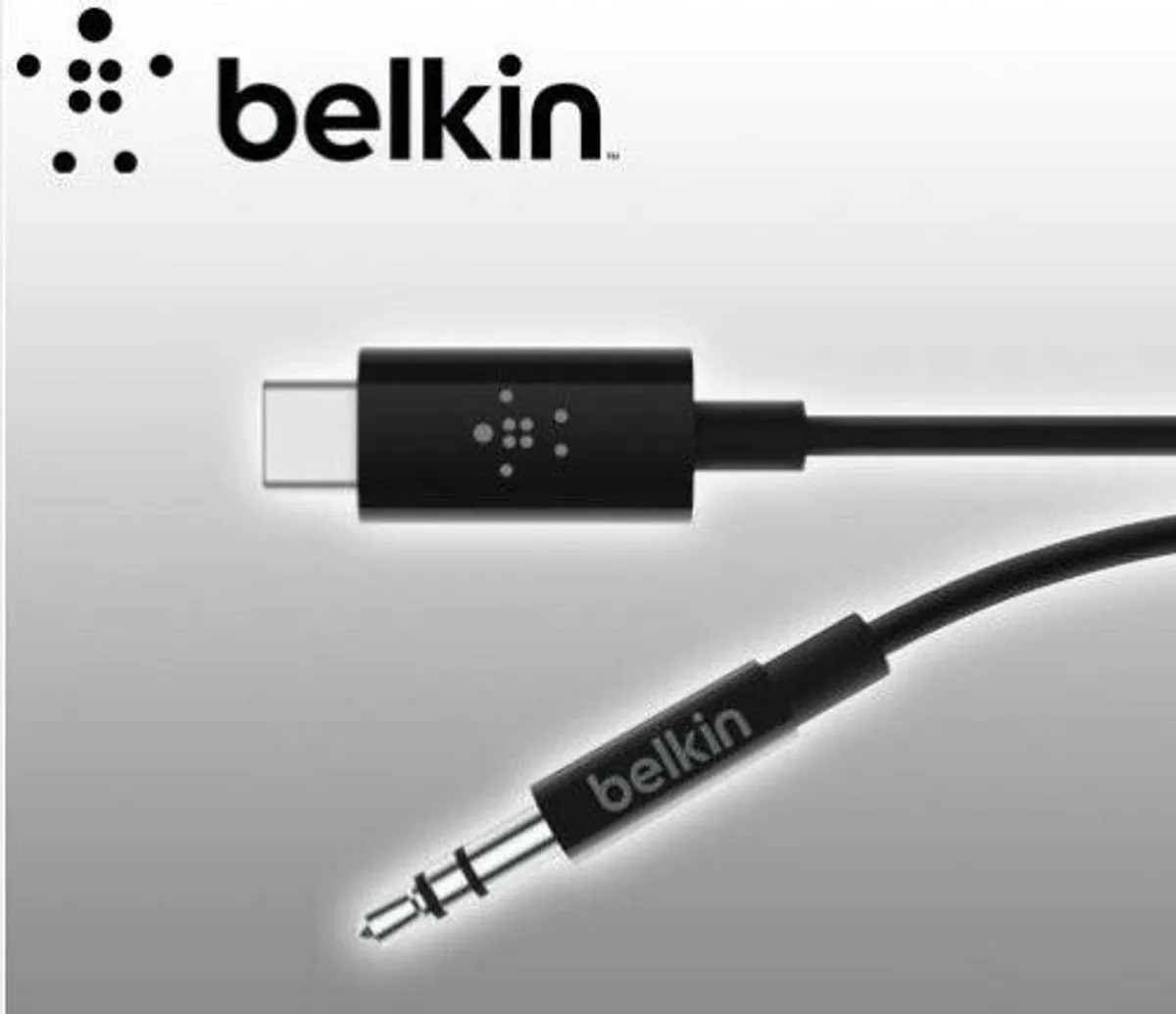 RockSta 3.5mm Audio Cable with USB-C/ Connector