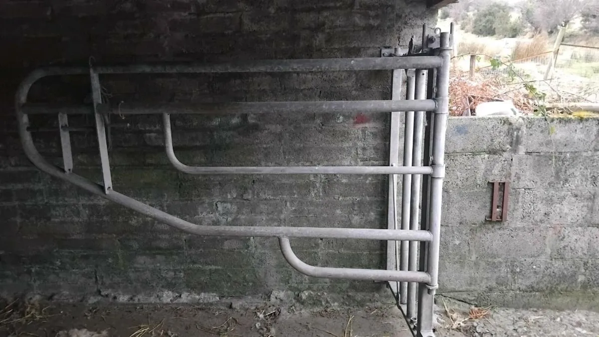 Calving  gate - Image 1