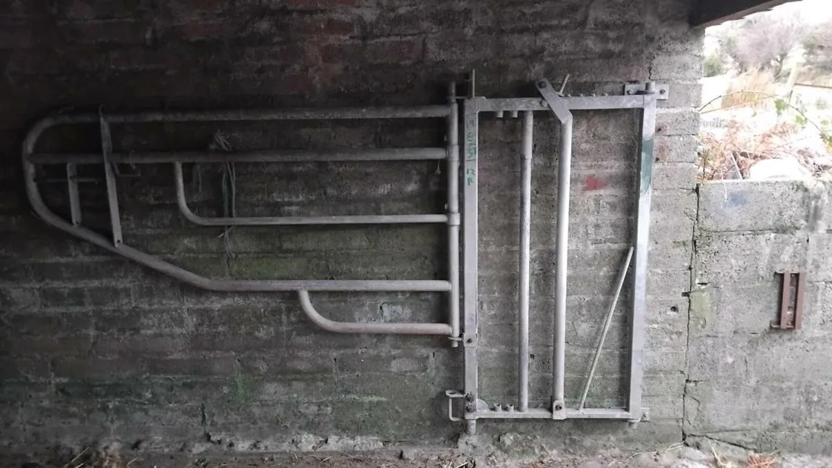 Calving  gate - Image 3