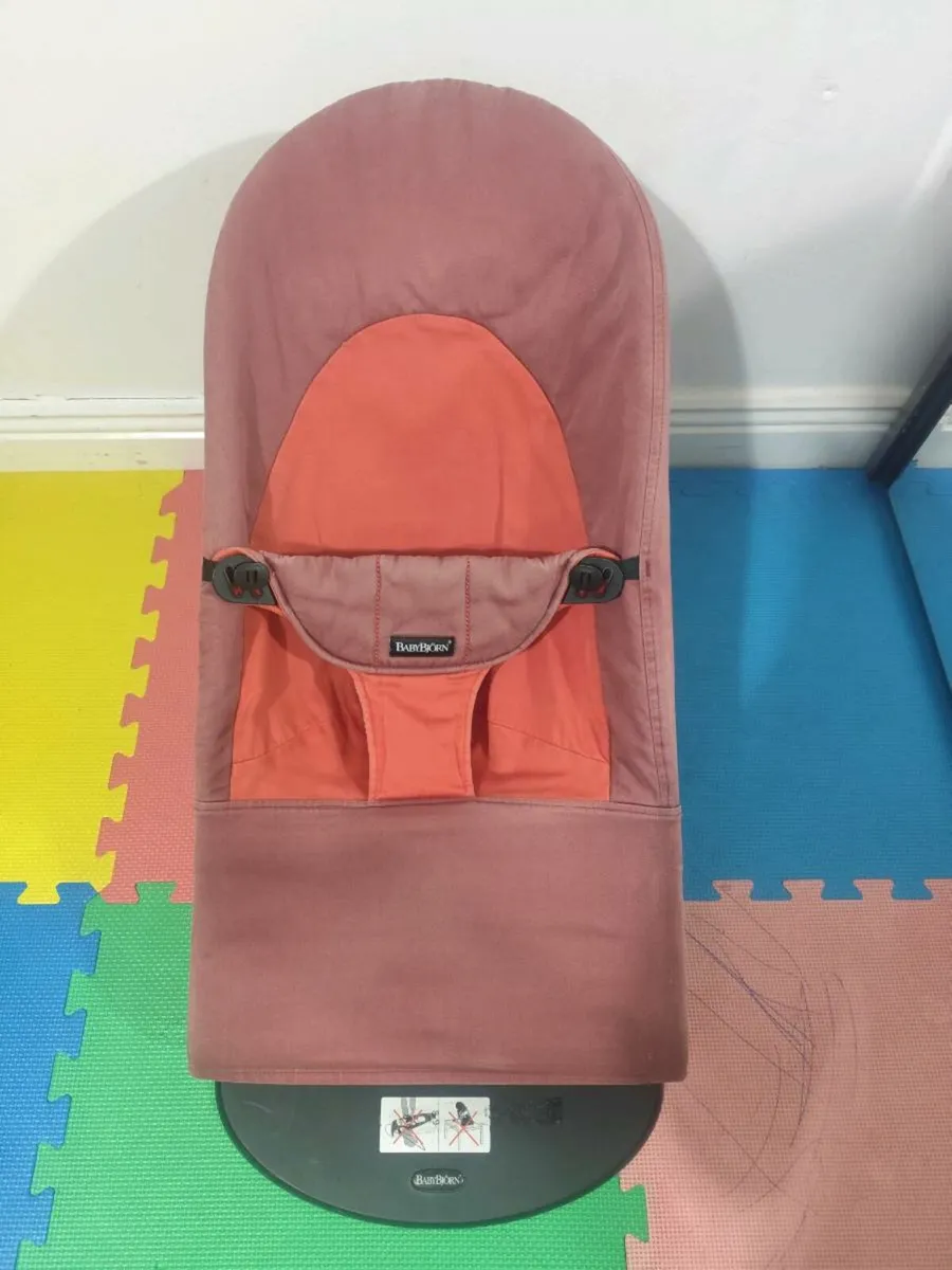 Babybjorn bouncer - Image 2