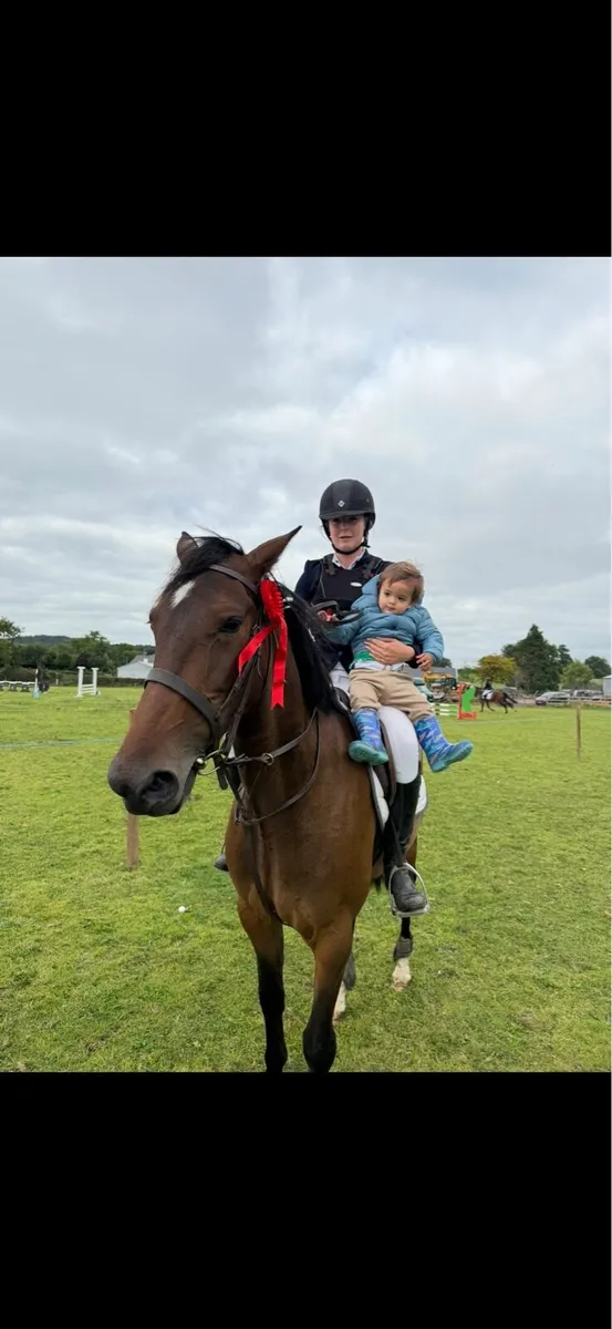 bombproof 15.2 - Image 3