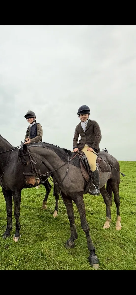 bombproof 15.2 - Image 2