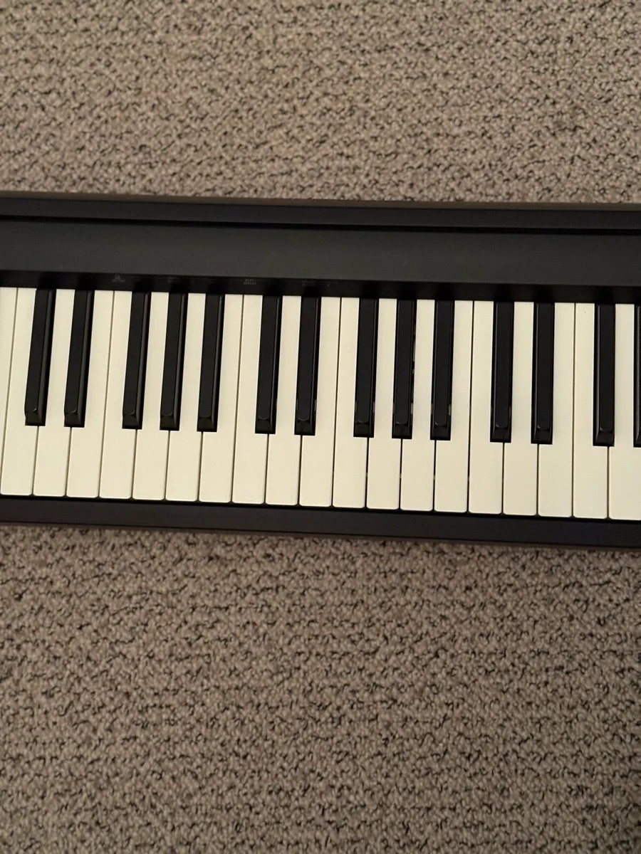 Roland FP10 Digital Piano - Image 4