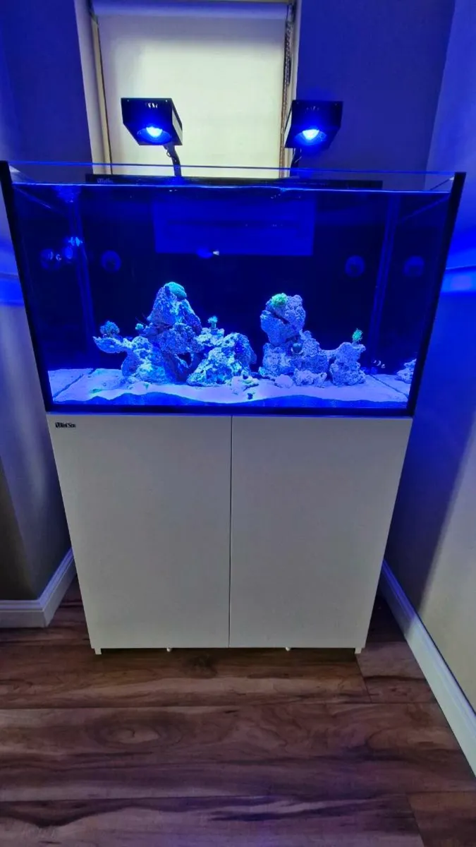 Red Sea Nano Max XXL - Image 1