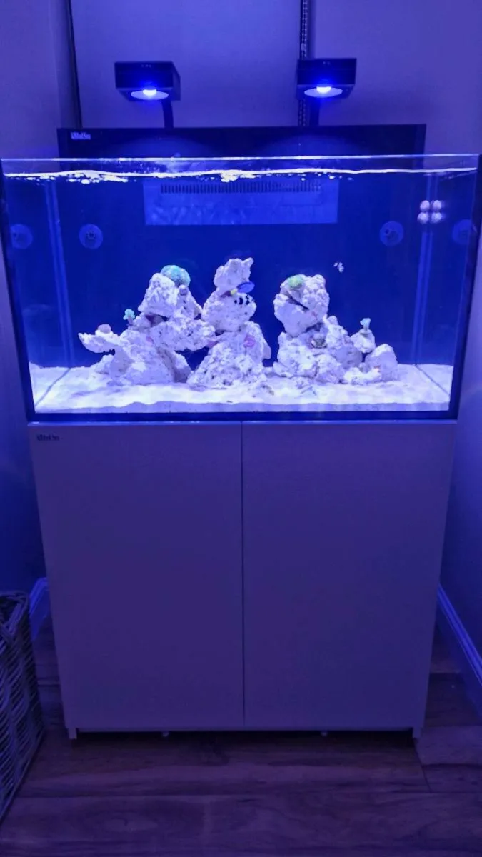 Red Sea Nano Max XXL - Image 2