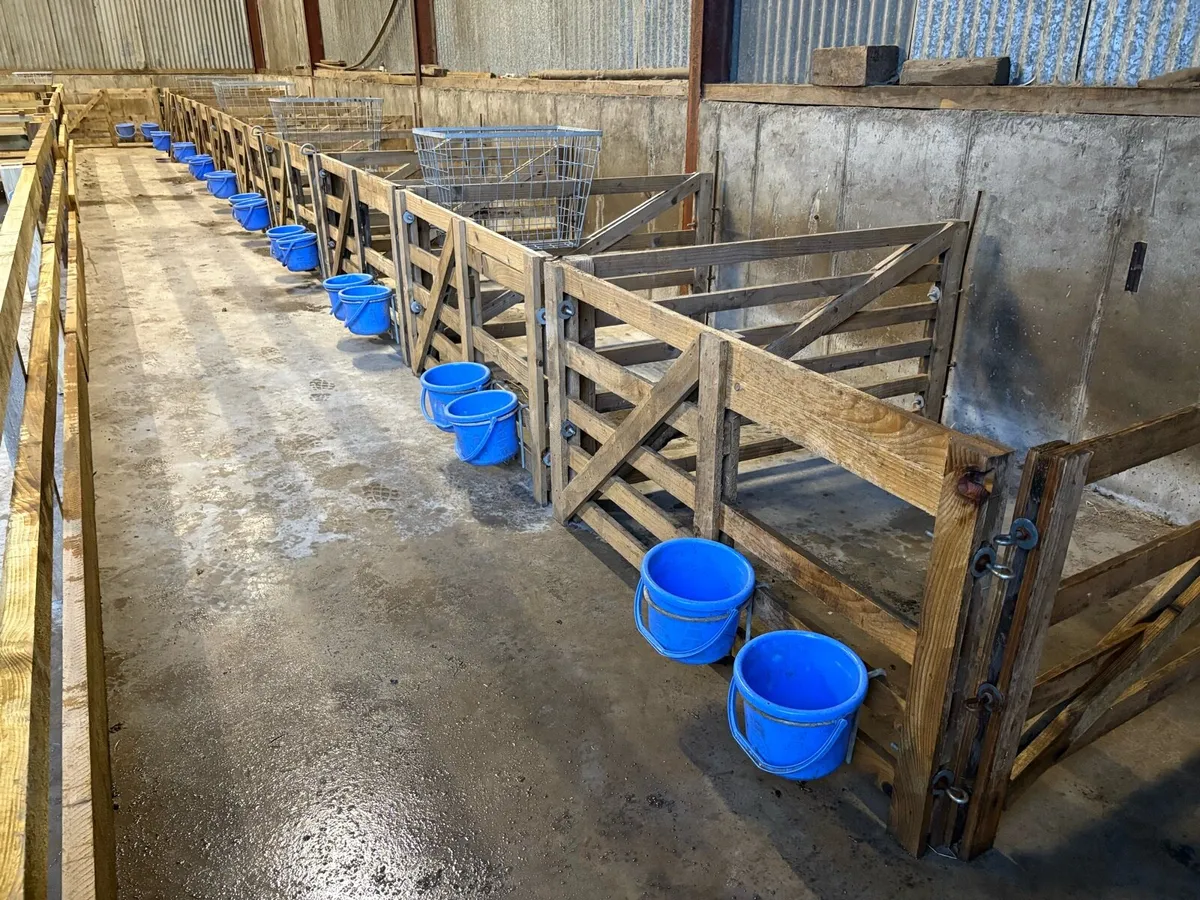 Lambing pens/ troughs - Image 1