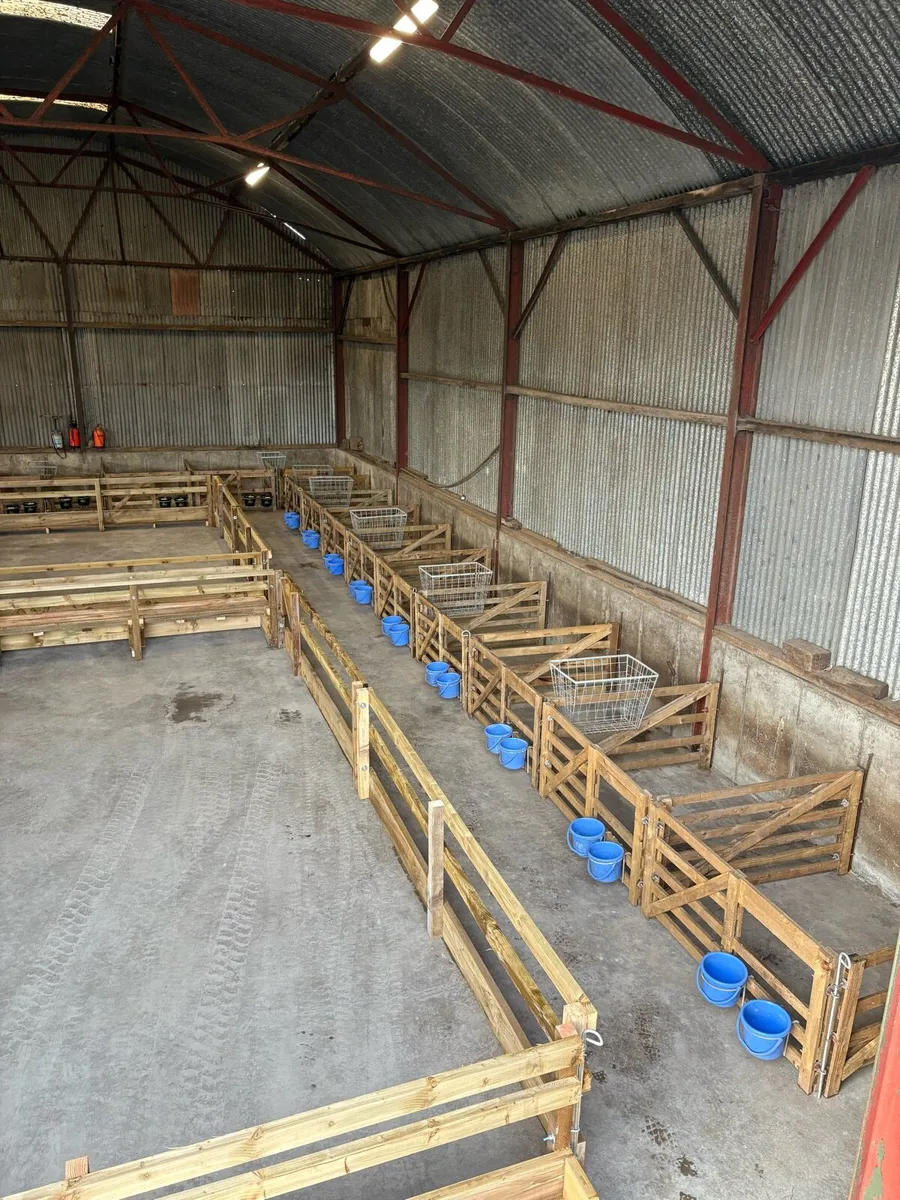 Lambing pens/ troughs - Image 2