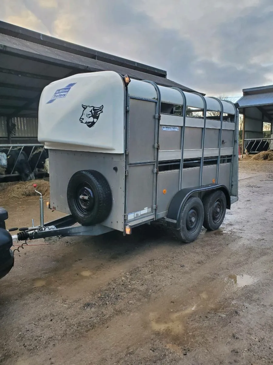 10x5 IfOR WILLIAMS TRAILER - Image 1