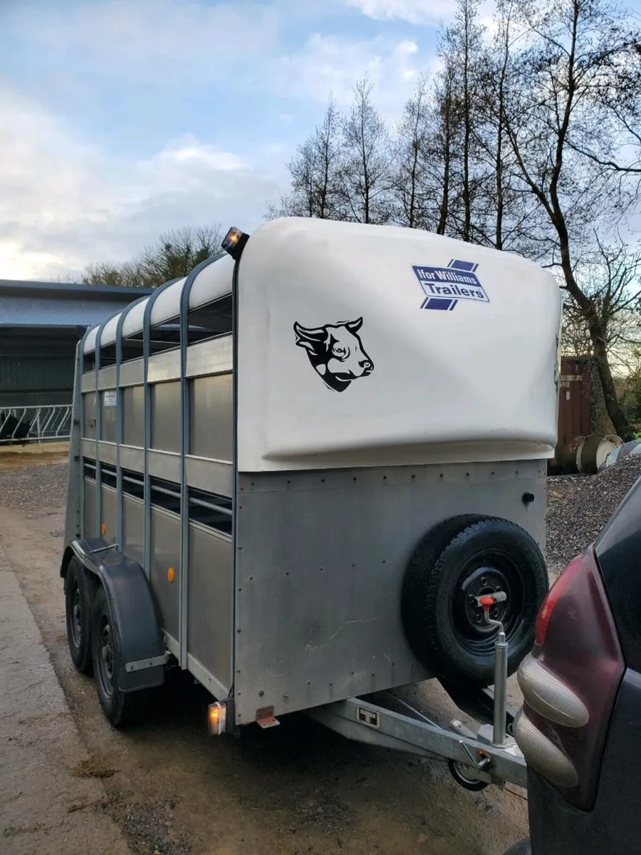 10x5 IfOR WILLIAMS TRAILER - Image 2