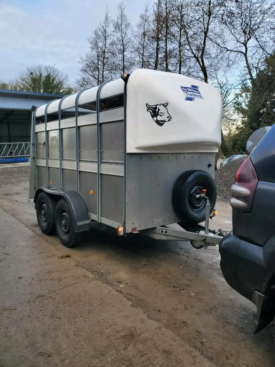 10x5 IfOR WILLIAMS TRAILER - Image 4