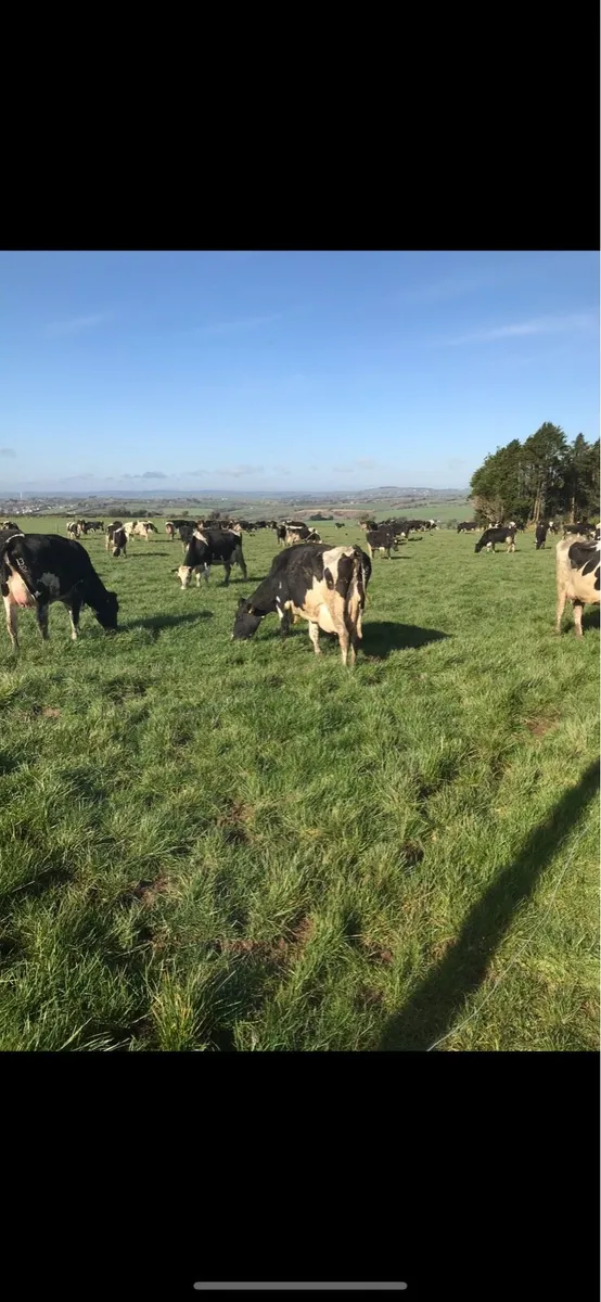 Dairy farm part-time work available