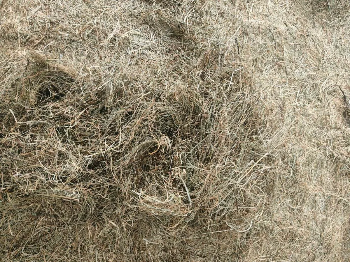 Hay and Haylage - Image 1