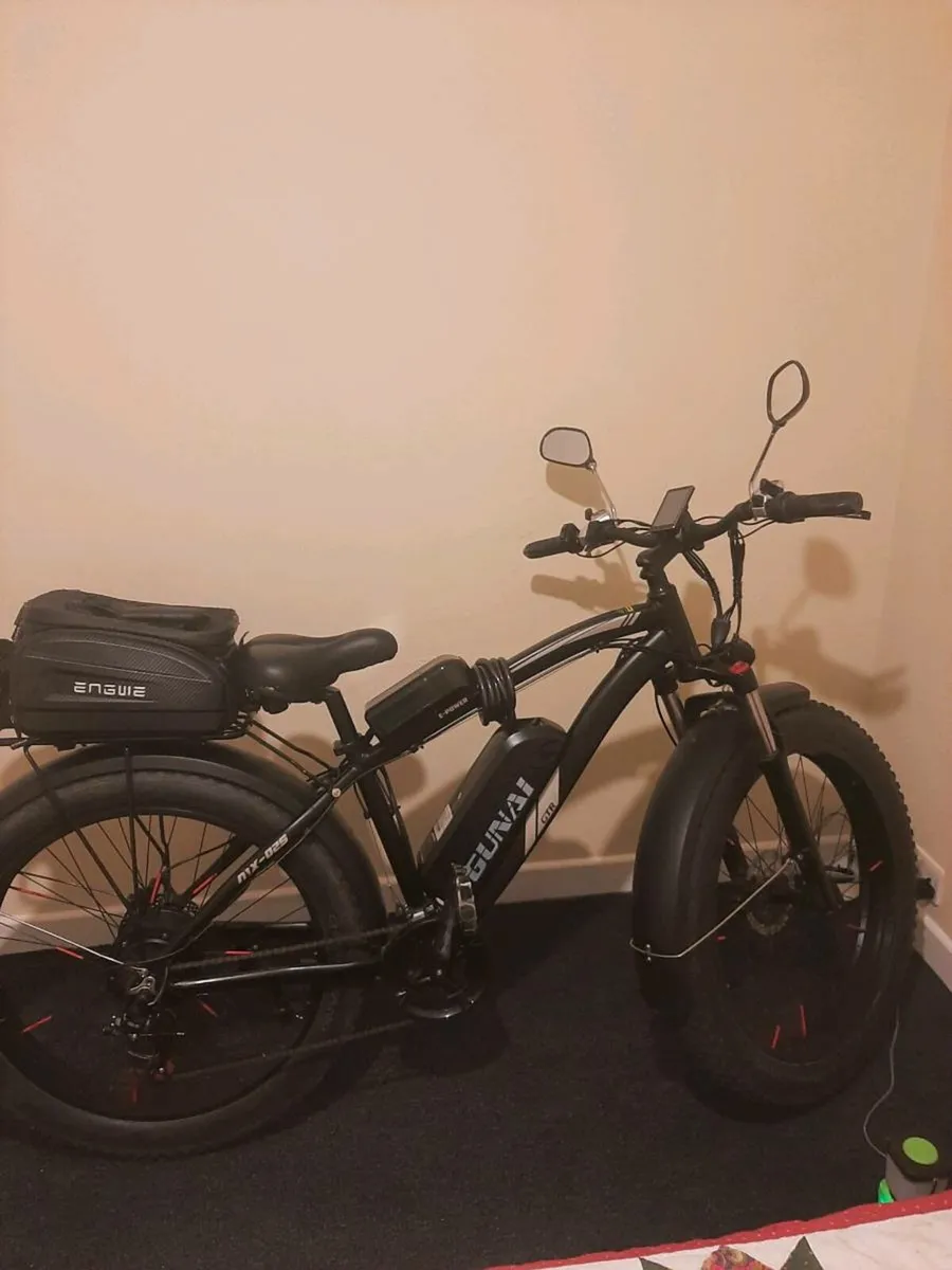 Electric E bicycle - Image 1