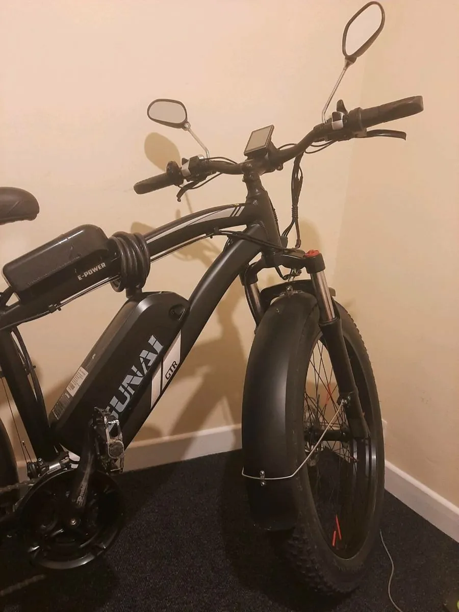 Electric E bicycle - Image 3