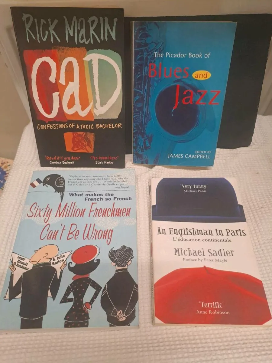 Irish fiction, Politics, Memoir and more - Image 4