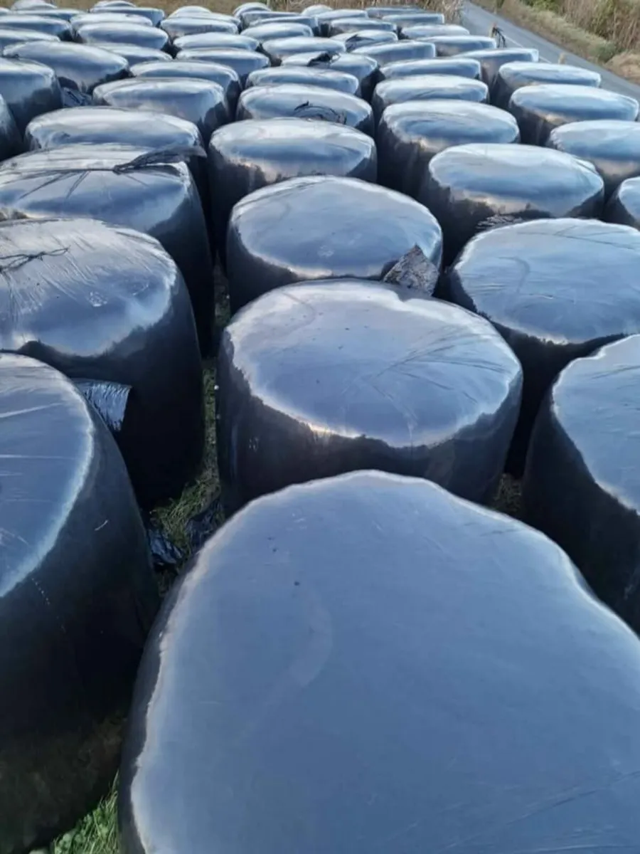 Round Bales Haylage - Image 3