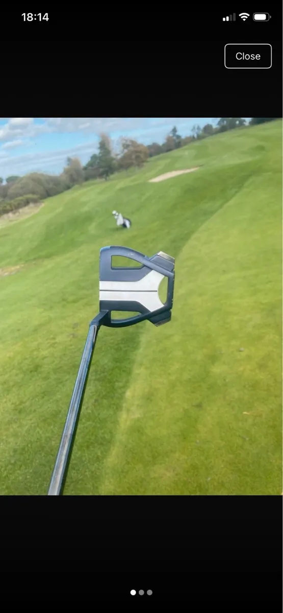 Spider putter - Image 1