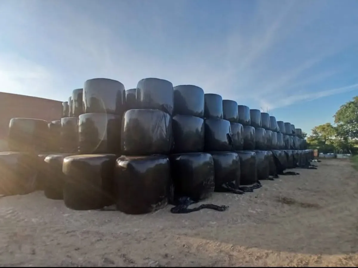 Well saved Hay & Haylege - Image 2