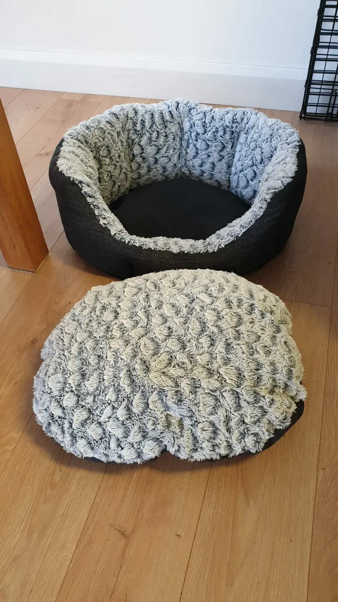 Dog bed for medium dog - Image 2