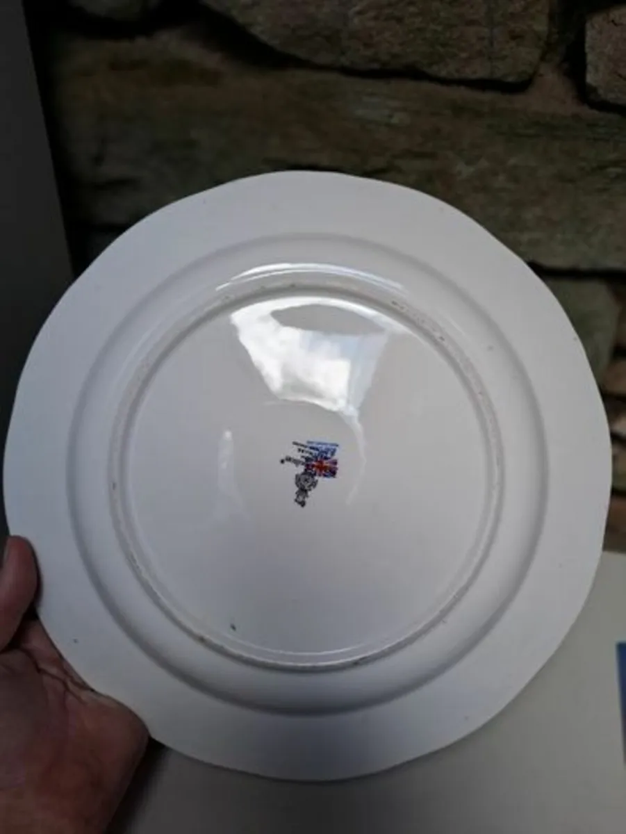 Royal Doulton 1992 goldfinches plate - Image 4