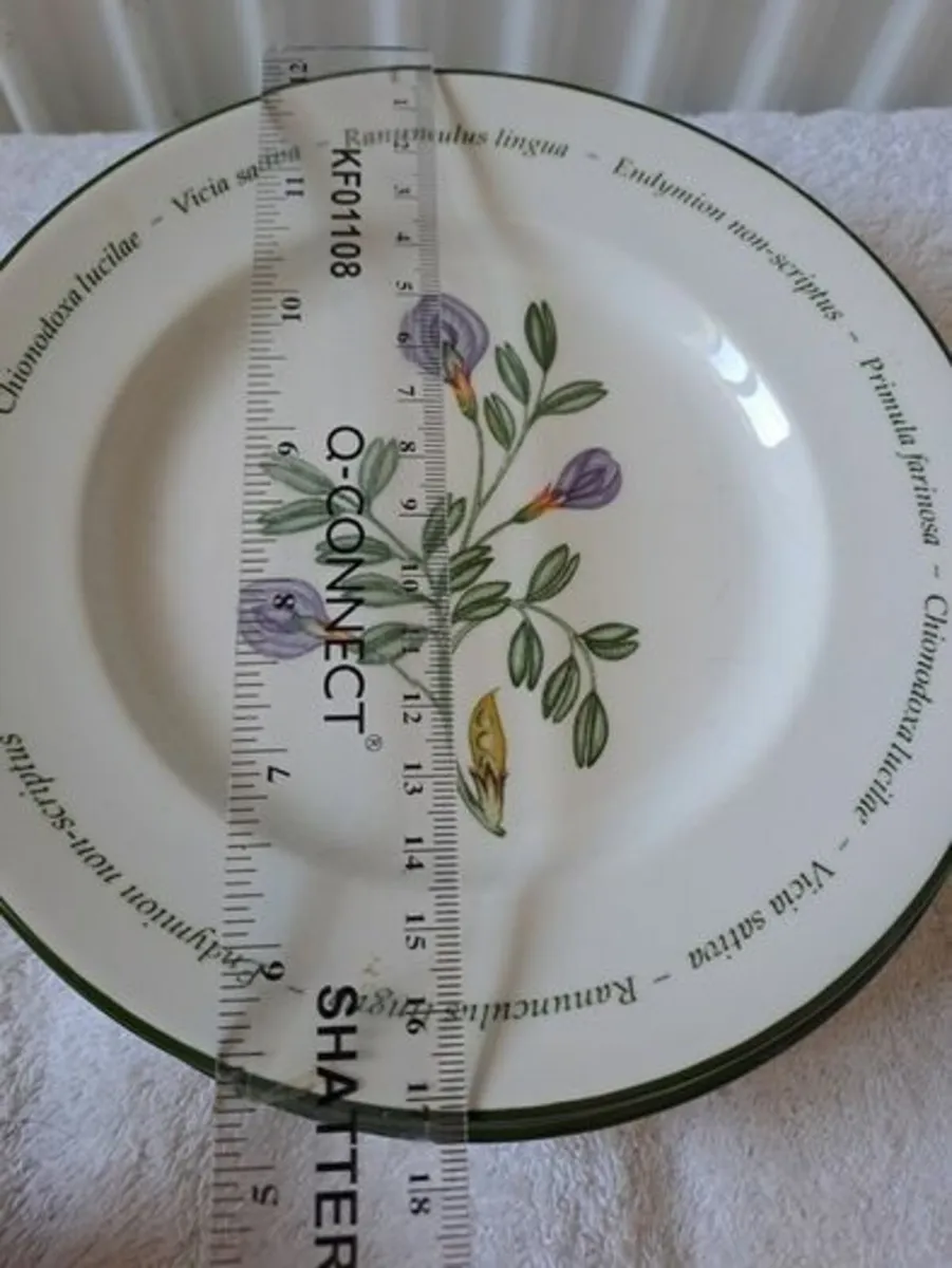 Johnson Bro's plates Wild Flowers - Image 4