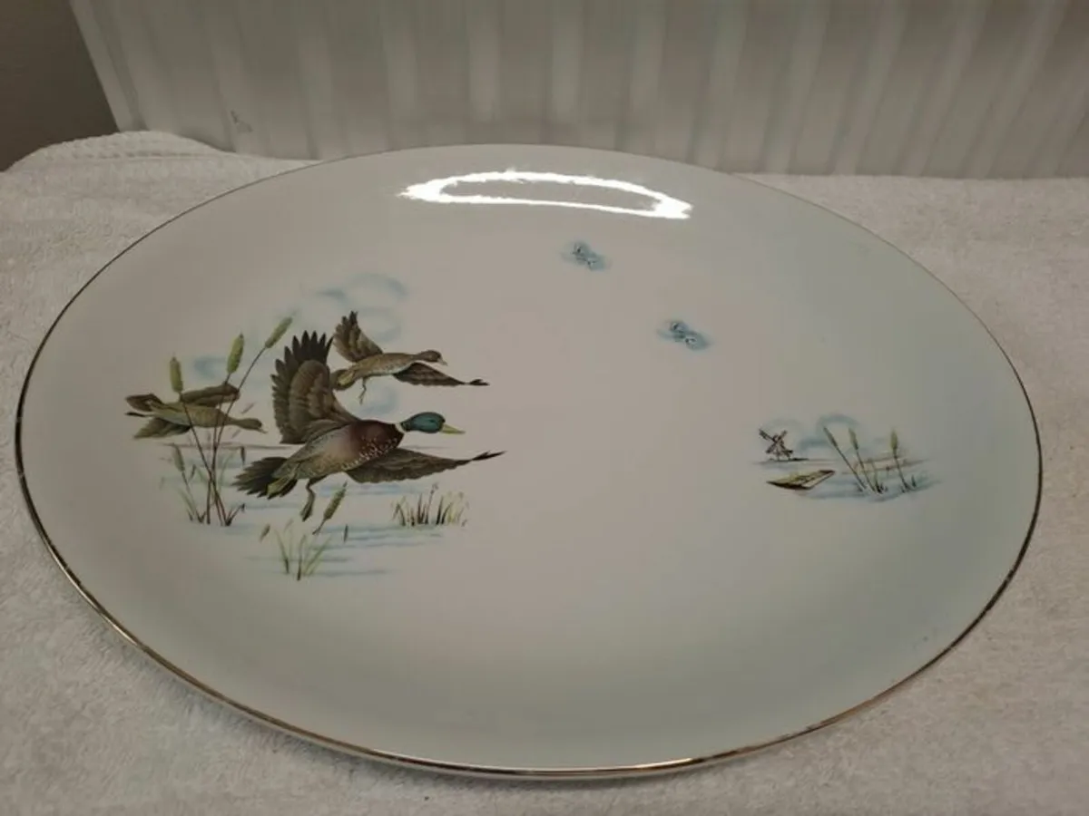 Alfred Meakin wildfowl platter - Image 1