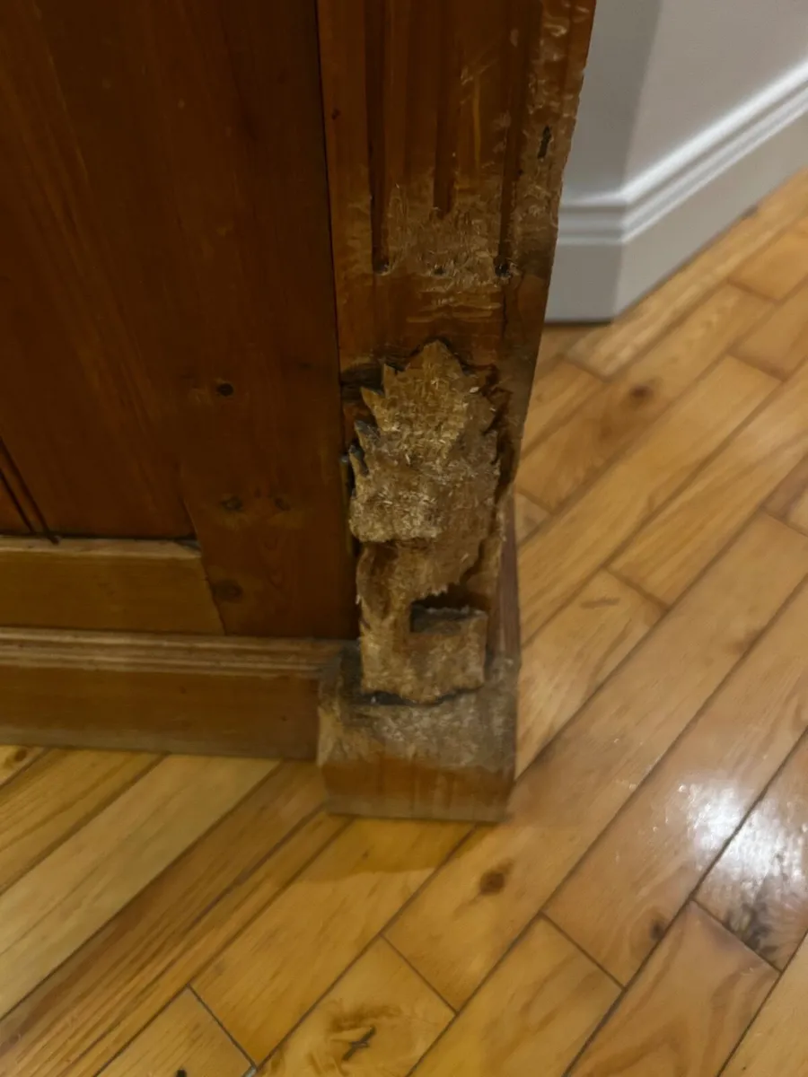 Larder press - Image 3