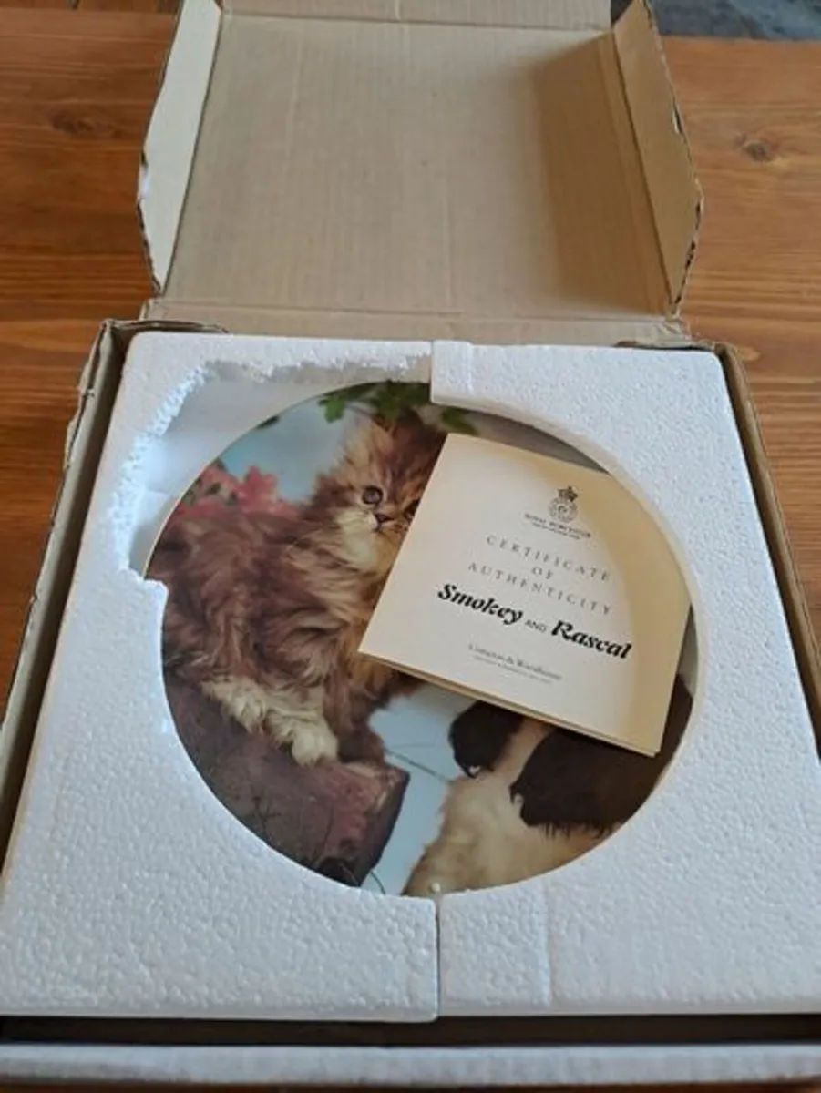 Royal Worcester Plate Smokey and Rascal - Image 2