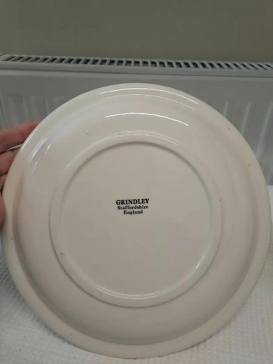 Ruby anniversary plate vintage - Image 4