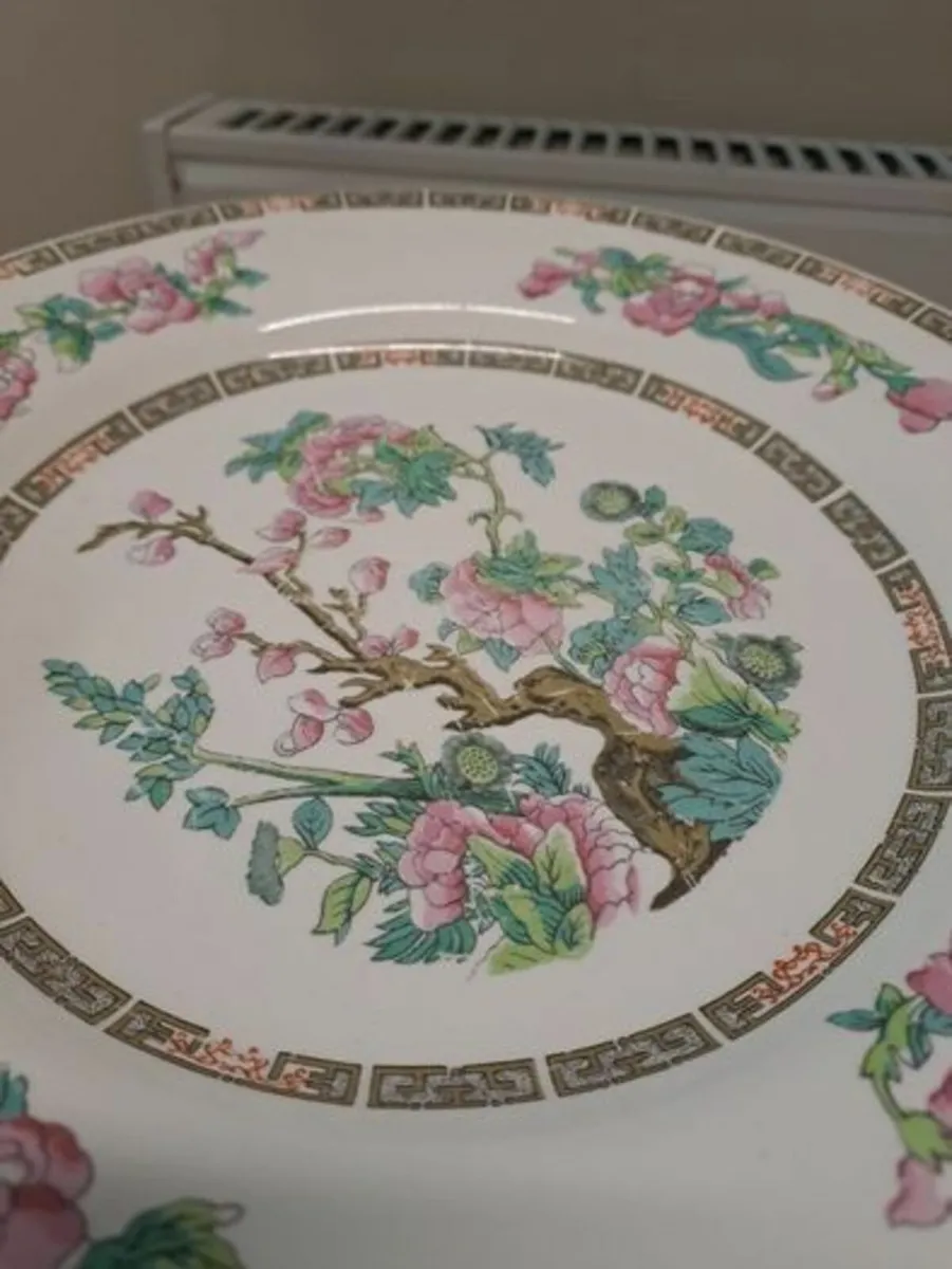 Lord Nelson Indian tree plate - Image 2