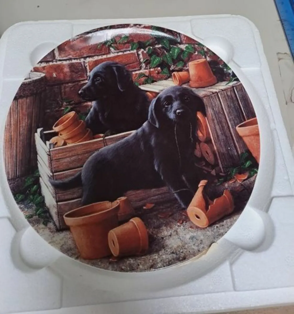 Wall plate Pots of Fun John Silver - Image 1