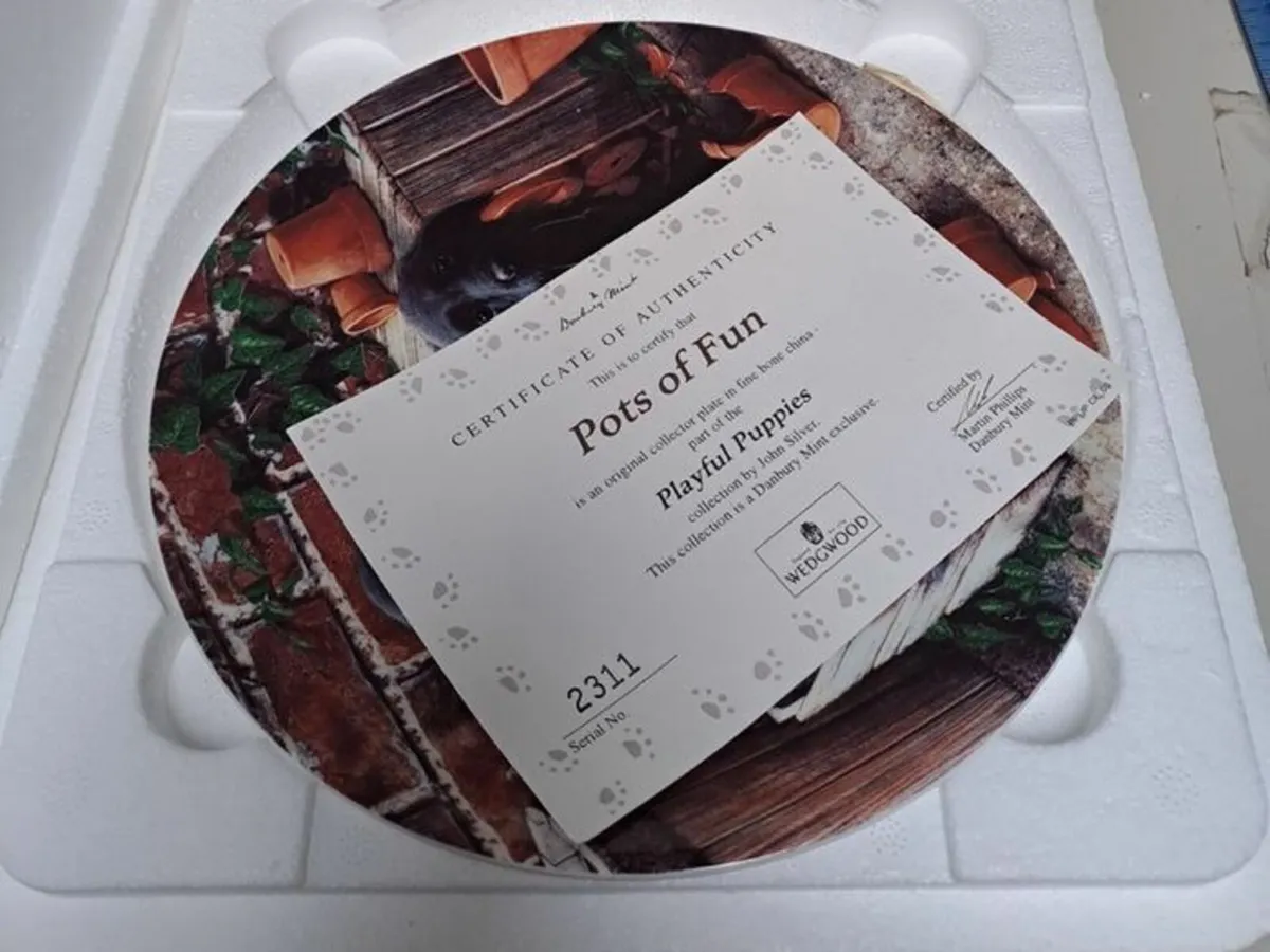 Wall plate Pots of Fun John Silver - Image 2