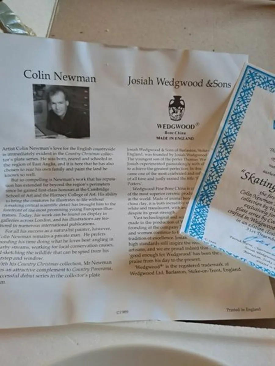 Skating on the Fen Plate wall plate - Image 3