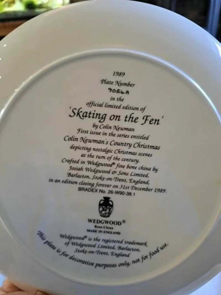 Skating on the Fen Plate wall plate - Image 4