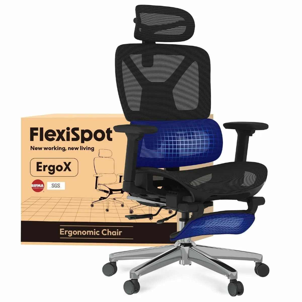 ErgoX Ergonomic Office Chair Desk with Footrest - Image 1