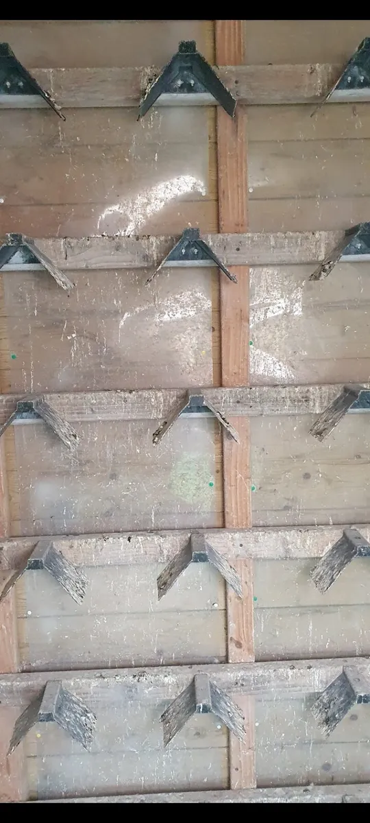 Pigeon Loft - Image 4