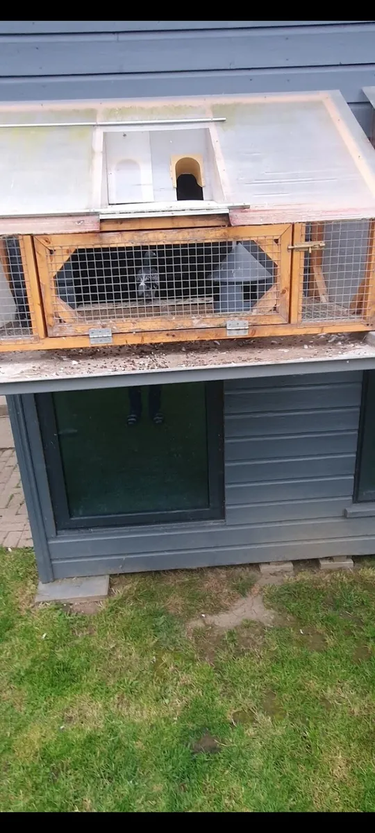 Pigeon Loft - Image 2