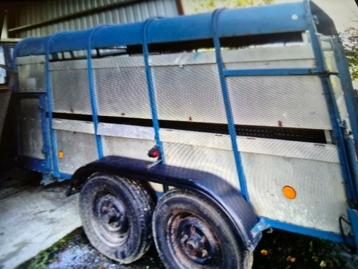 Cattle trailer - Image 1