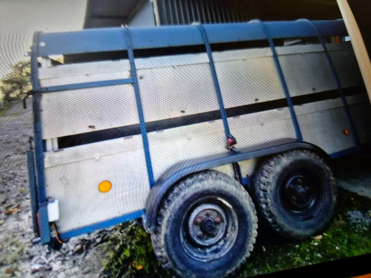 Cattle trailer - Image 3
