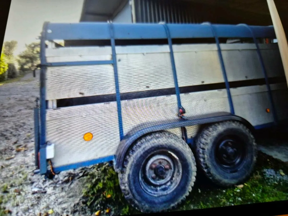 Cattle trailer - Image 4