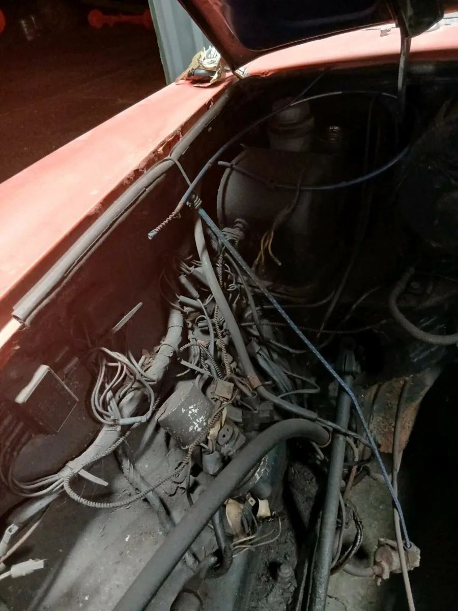 Mgb v8 sebring - Image 3