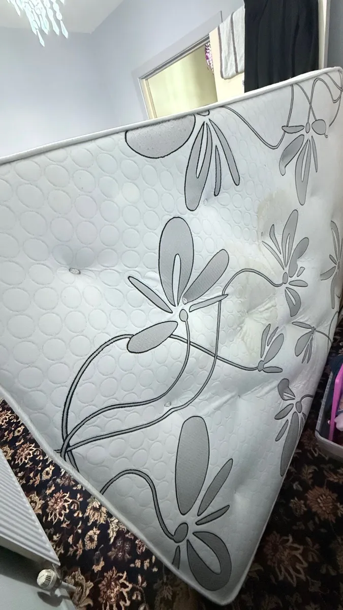 Multiple mattresses for sale in great condition - Image 1