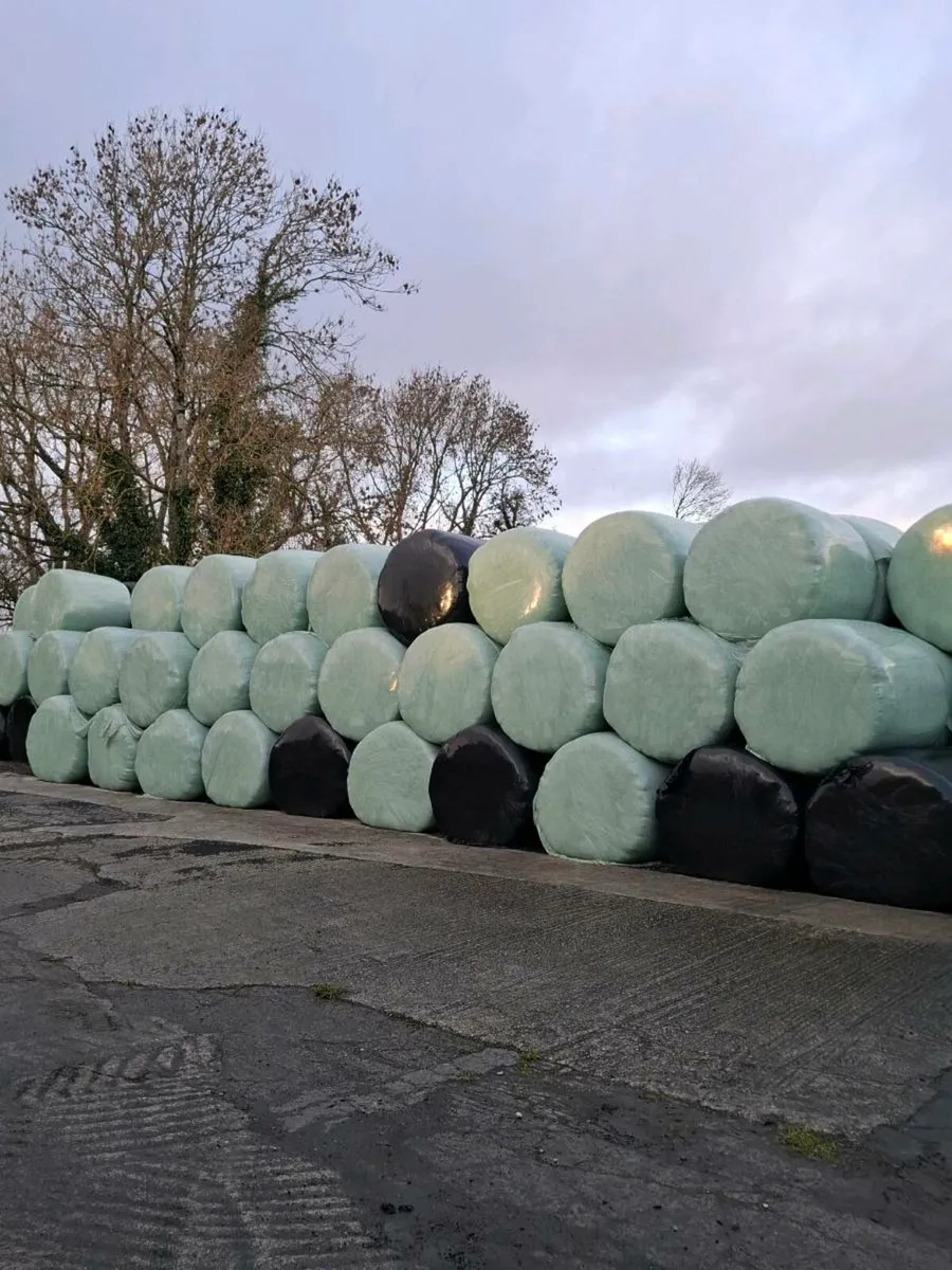 Top Quality bales - Image 1